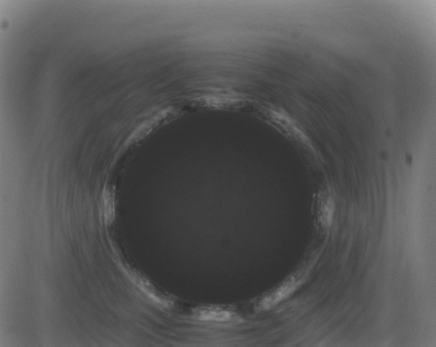 X0000081490471200701121514