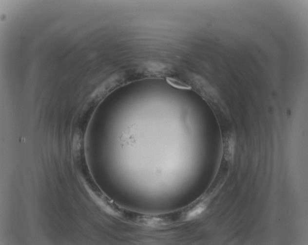 X0000081490472200701121514