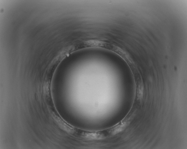 X0000081490473200701121514