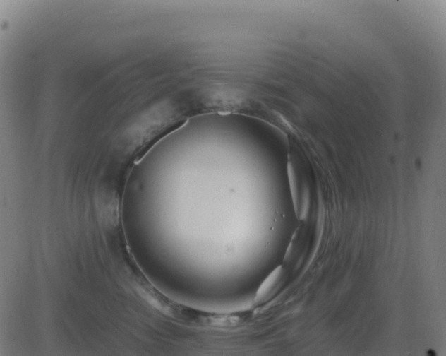 X0000081490474200701121514