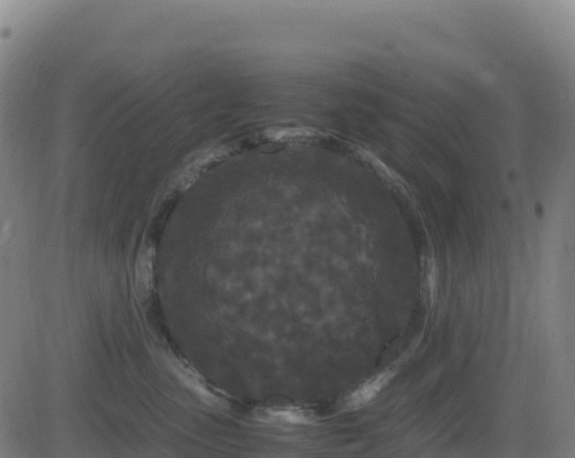 X0000081490475200701121514