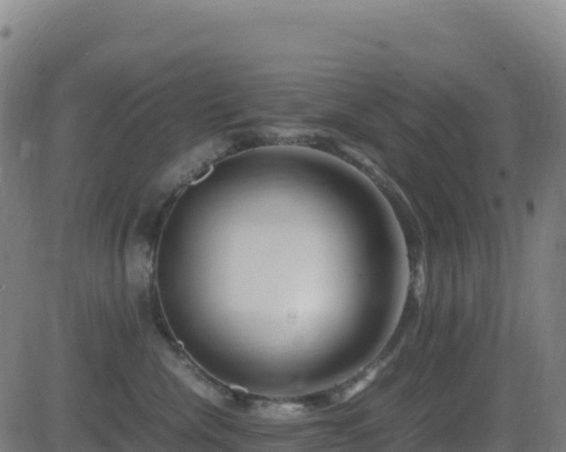 X0000081490476200701121515