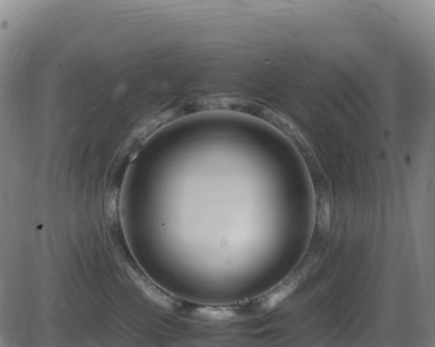 X0000081490477200701121515