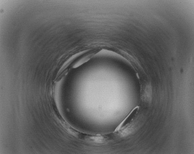 X0000081490478200701121515