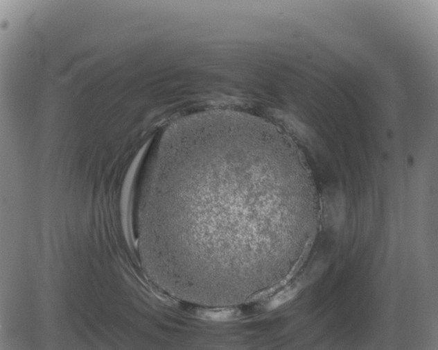 X0000081490479200701121515