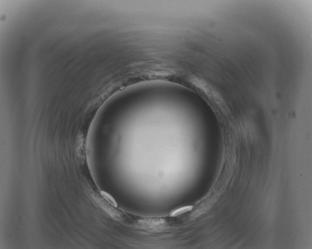 X0000081490480200701121515