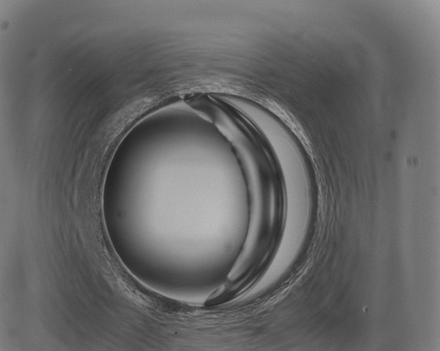 X0000081490481200701121514