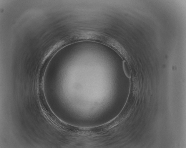 X0000081490482200701121514