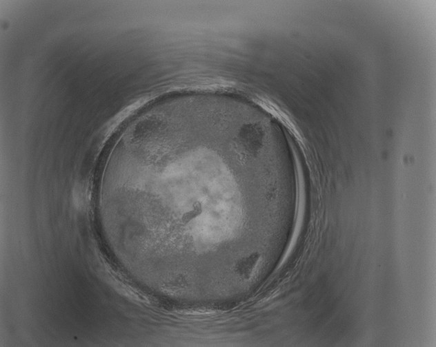 X0000081490483200701121514