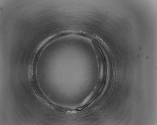 X0000081490484200701121514