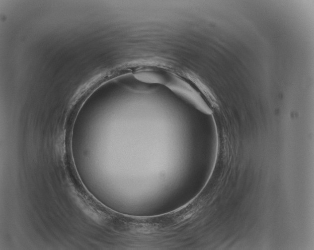 X0000081490486200701121514