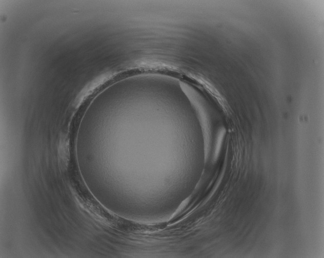 X0000081490488200701121514