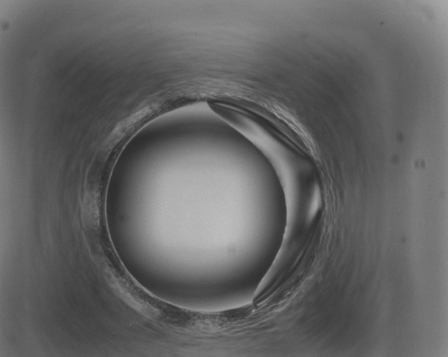 X0000081490489200701121514