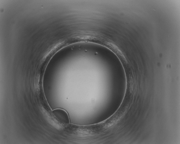 X0000081490490200701121514