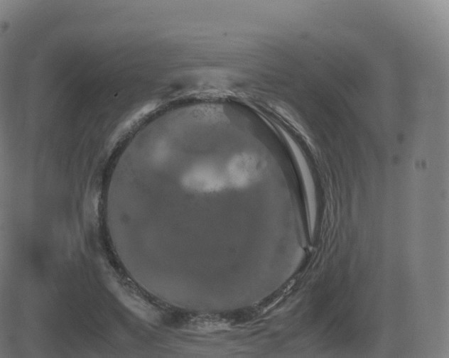 X0000081490491200701121514