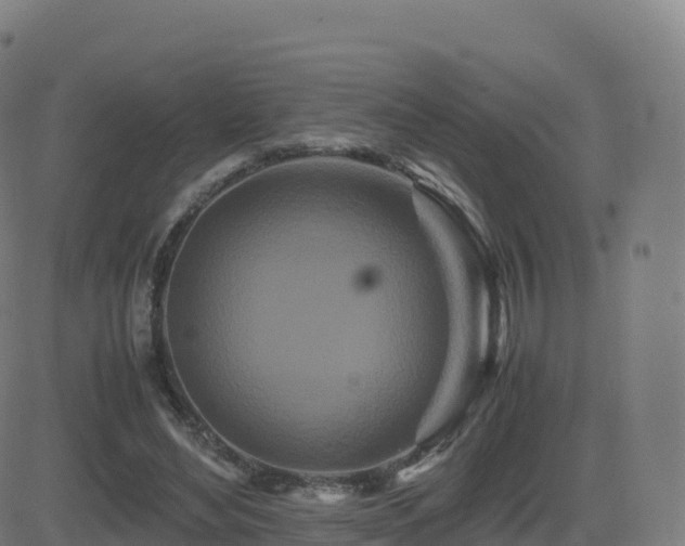 X0000081490492200701121514