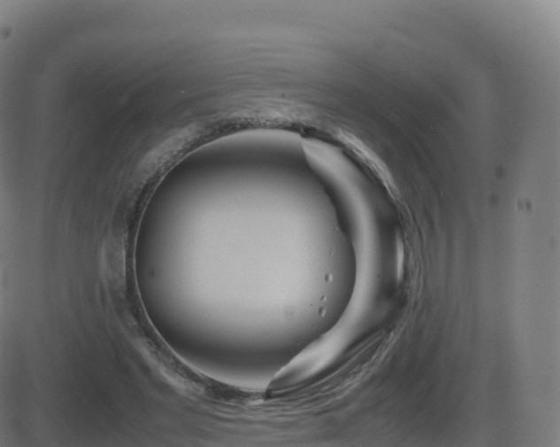 X0000081490493200701121514