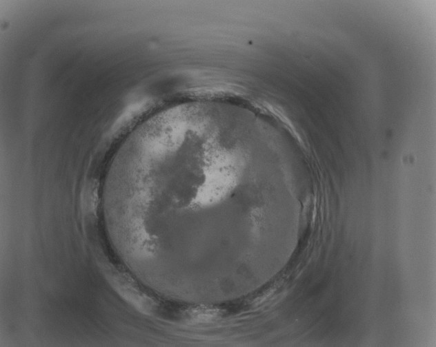 X0000081490495200701121514