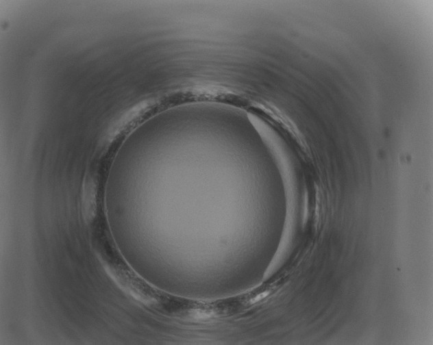 X0000081490496200701121514