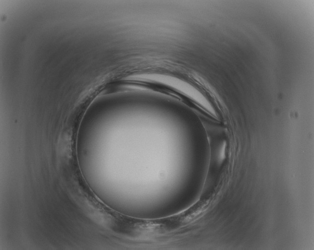 X0000081490497200701121514