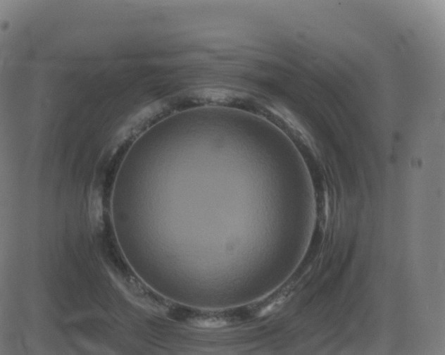 X0000081490500200701121513