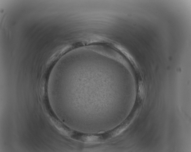 X0000081490501200701121513