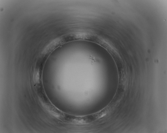 X0000081490502200701121513