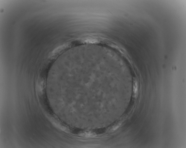 X0000081490503200701121513