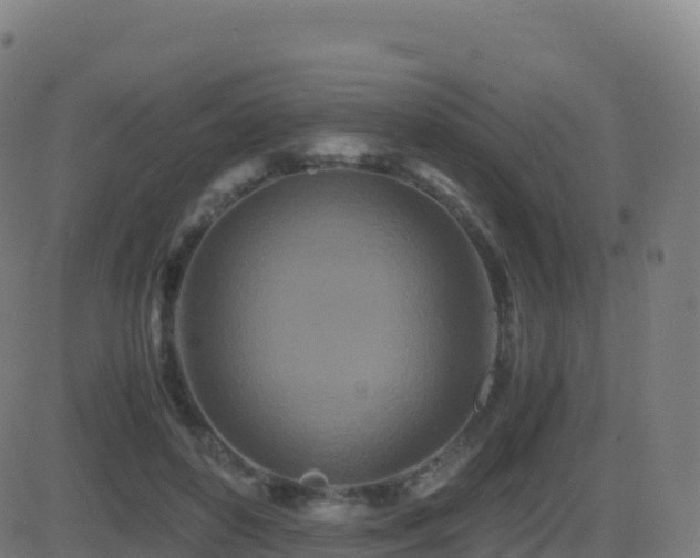 X0000081490504200701121513