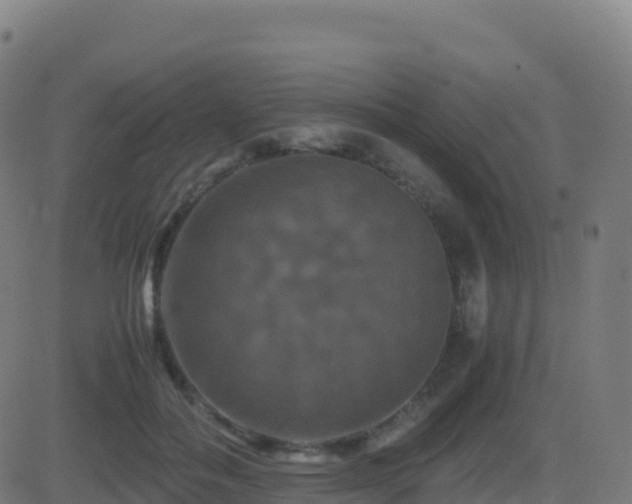 X0000081490506200701121513