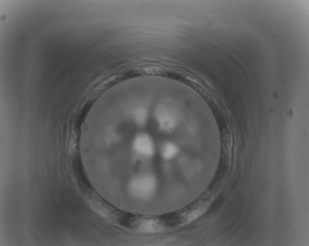 X0000081490507200701121513