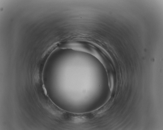 X0000081490508200701121513