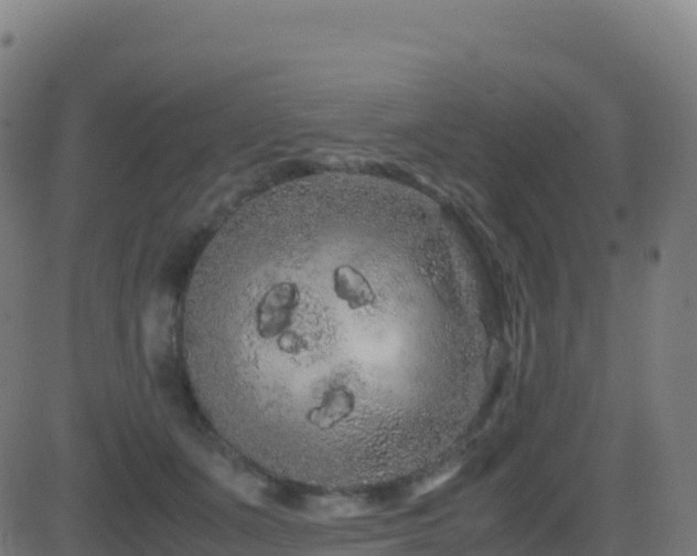 X0000081490511200701121513