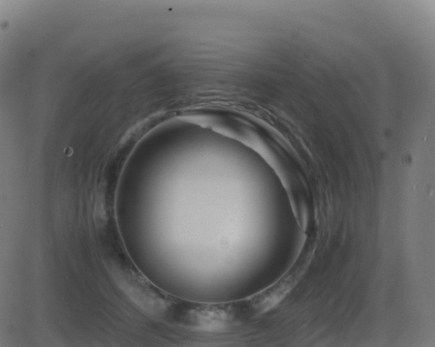 X0000081490512200701121513