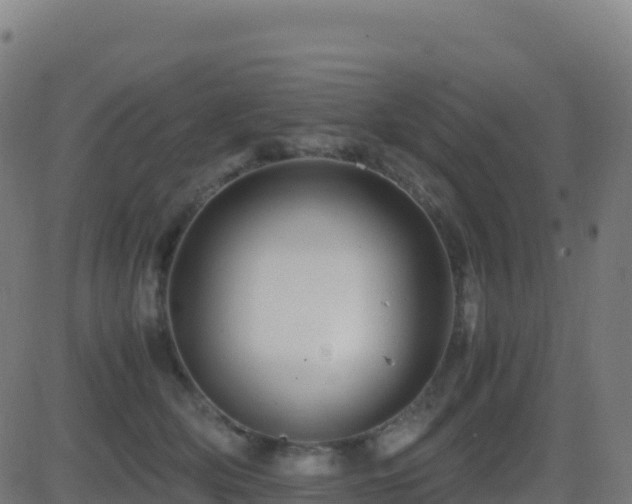 X0000081490514200701121513