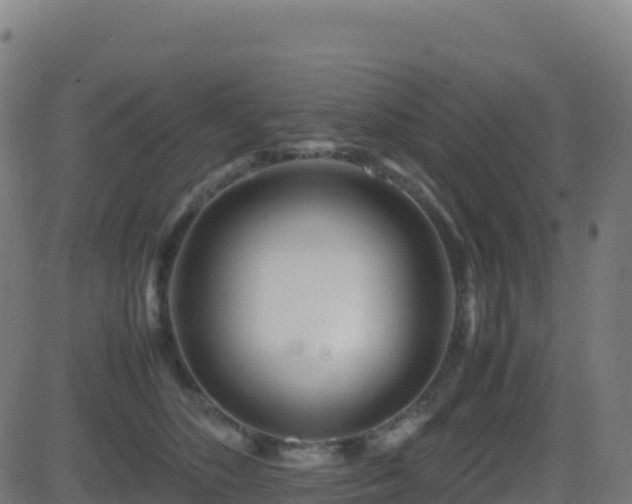 X0000081490516200701121513