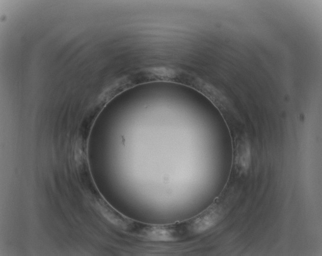 X0000081490518200701121513