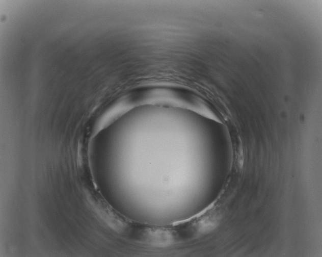 X0000081490520200701121513