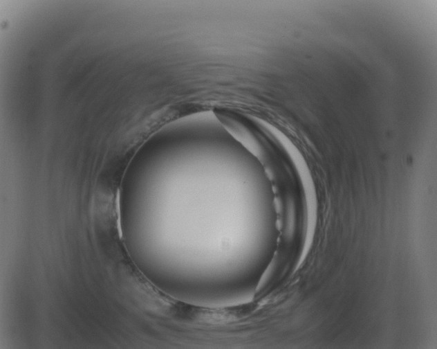 X0000081490521200701121513