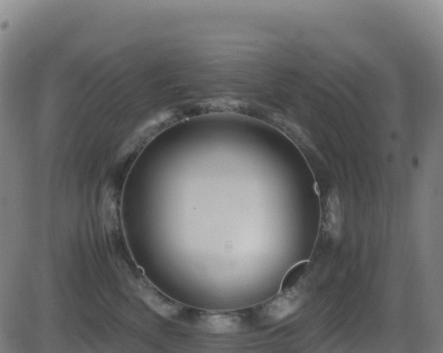 X0000081490522200701121513