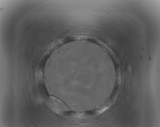 X0000081490523200701121513