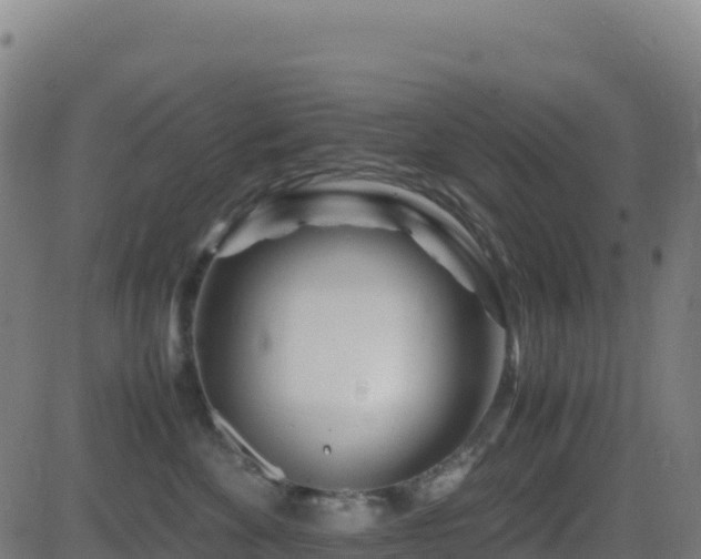 X0000081490524200701121513