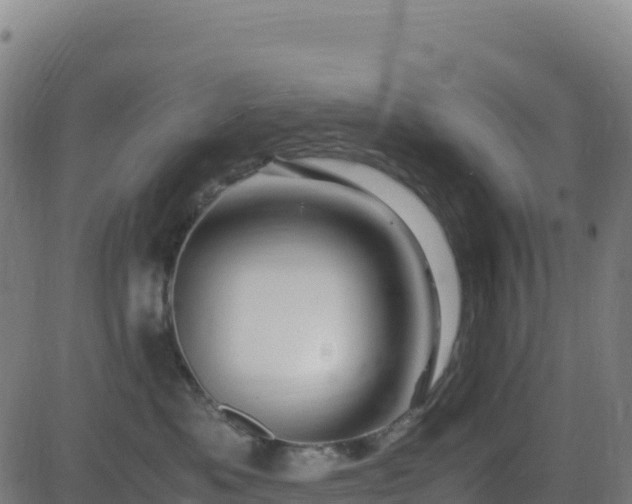 X0000081490525200701121513