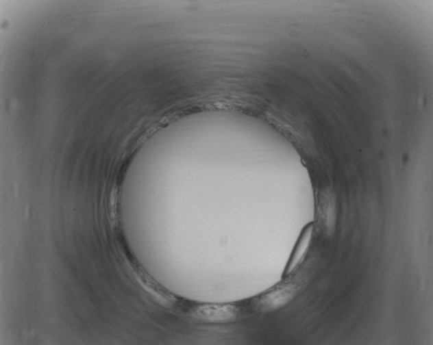 X0000081490526200701121513