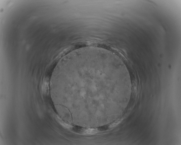 X0000081490527200701121513