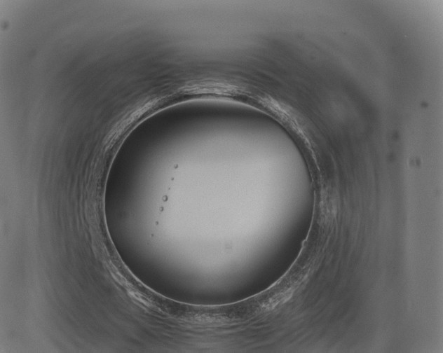 X0000081490529200701121512