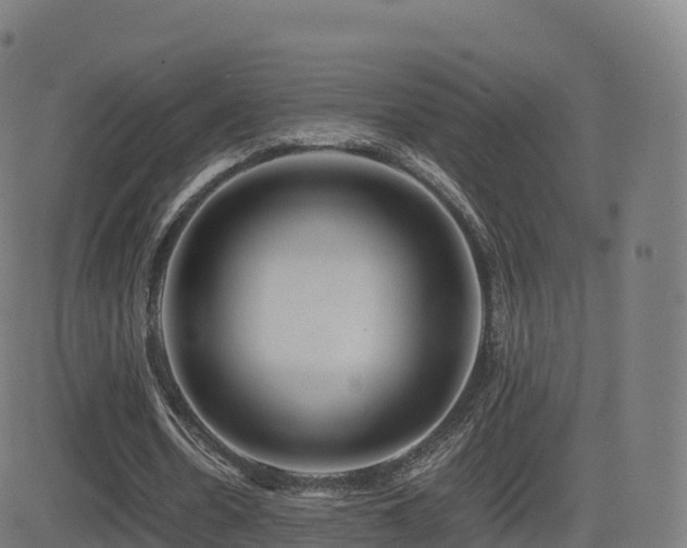 X0000081490530200701121512