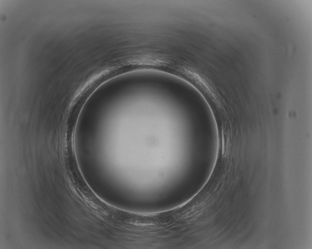 X0000081490531200701121512