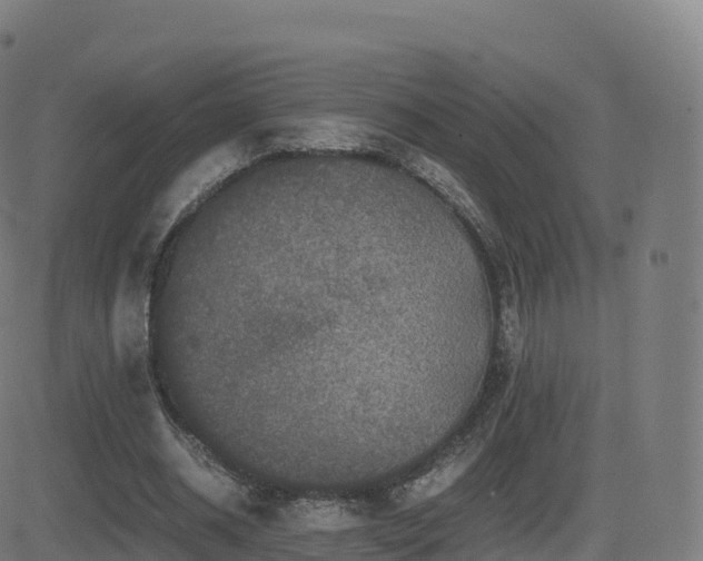 X0000081490534200701121512