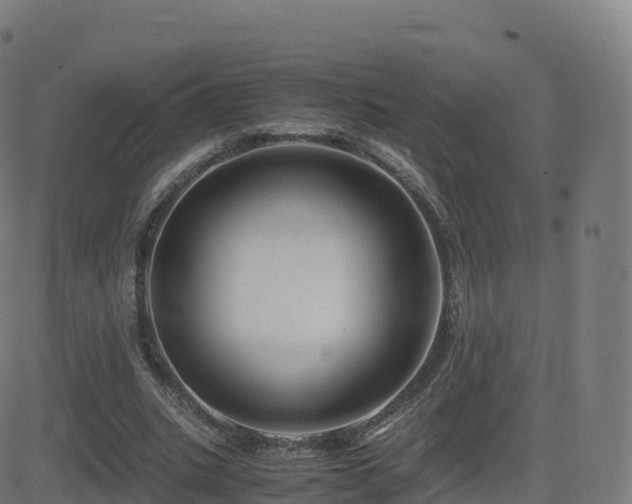 X0000081490535200701121512